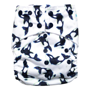 Orca  | LFP